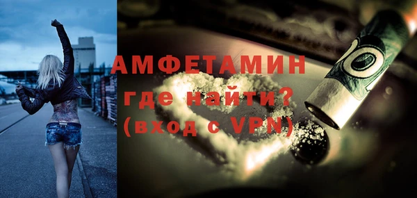 молекула духа Бородино