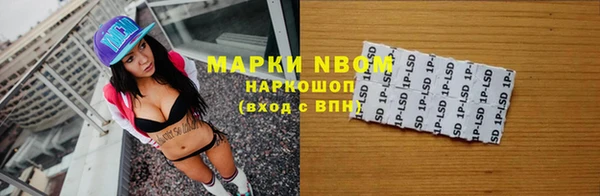 стаф Богданович