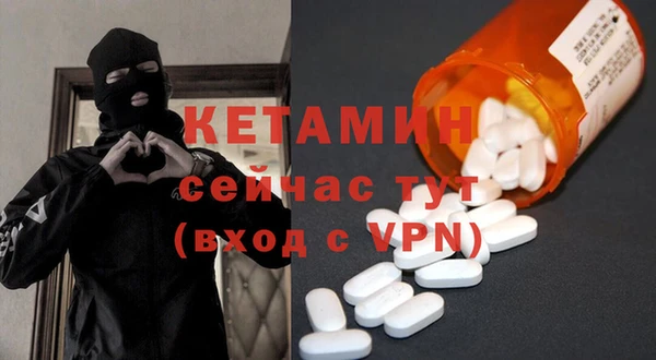 стаф Богданович