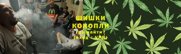 PSILOCYBIN Бронницы