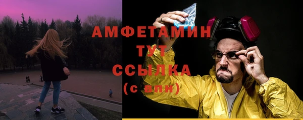 молекула духа Бородино