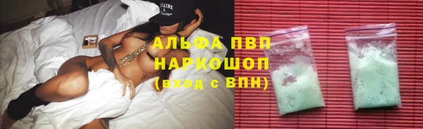 стаф Богданович