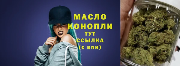 молекула духа Бородино
