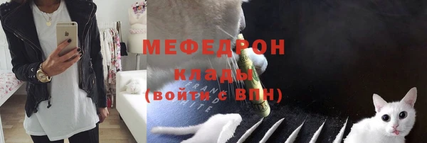 молекула духа Бородино