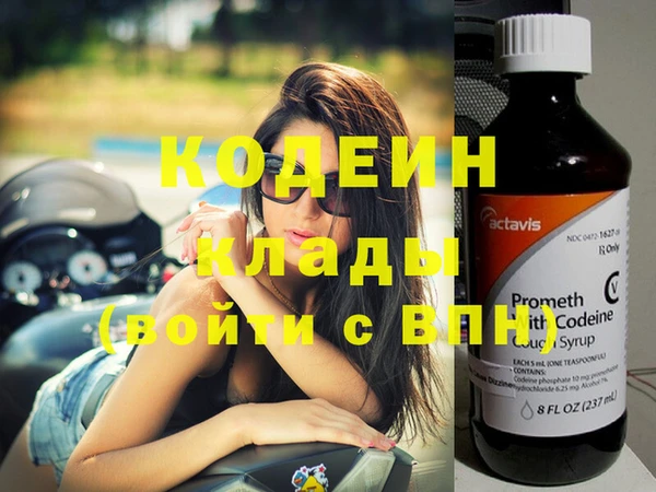 молекула духа Бородино