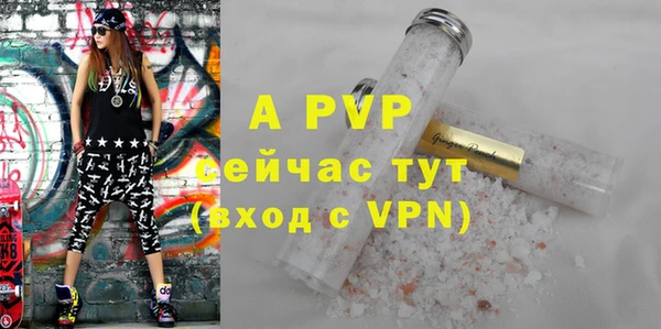 стаф Богданович