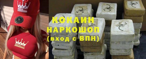 спиды Богородицк