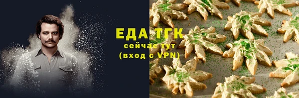 молекула духа Бородино