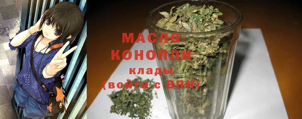 спиды Богородицк