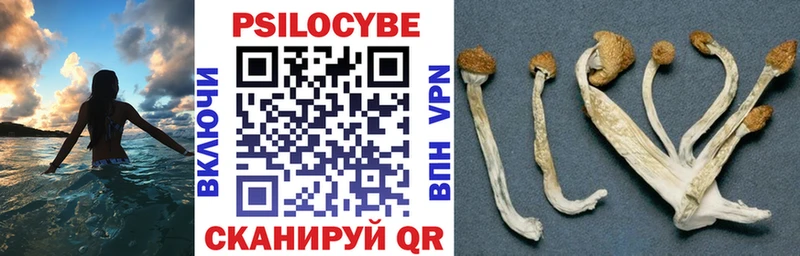Купить закладки  Минеральные Воды  Псилоцибиновые грибы мицелий 